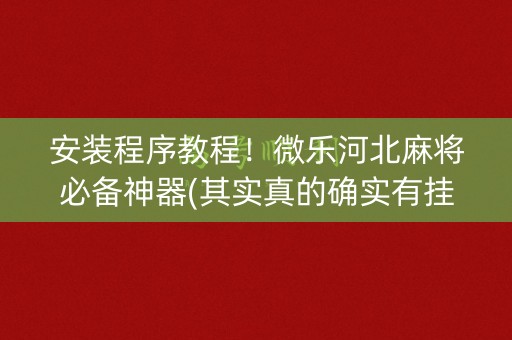 安装程序教程！微乐河北麻将必备神器(其实真的确实有挂)