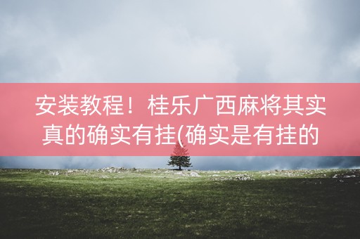 安装教程！桂乐广西麻将其实真的确实有挂(确实是有挂的)