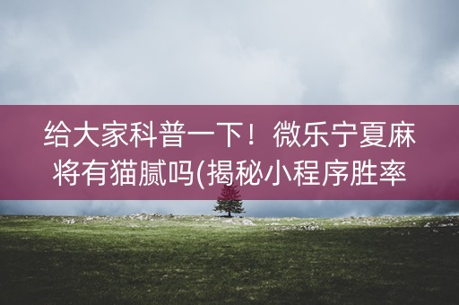 给大家科普一下！微乐宁夏麻将有猫腻吗(揭秘小程序胜率到哪调)