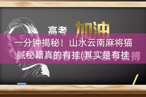 一分钟揭秘！山水云南麻将猫腻秘籍真的有挂(其实是有挂确实有挂)