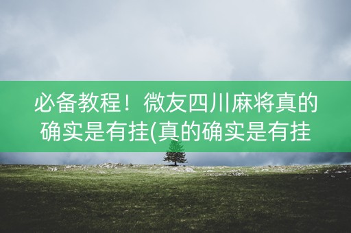 必备教程！微友四川麻将真的确实是有挂(真的确实是有挂)