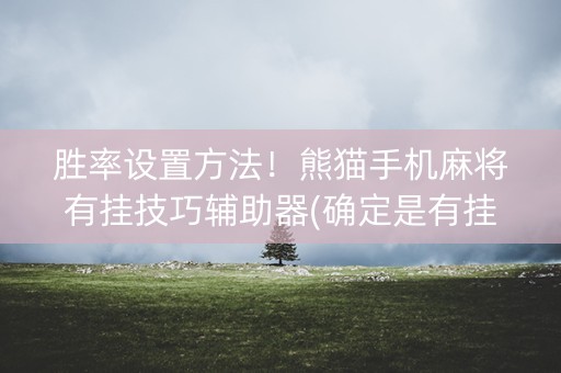 胜率设置方法！熊猫手机麻将有挂技巧辅助器(确定是有挂)