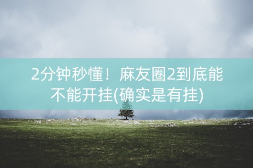2分钟秒懂！麻友圈2到底能不能开挂(确实是有挂)