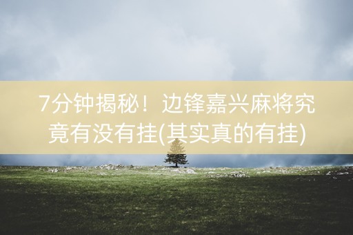 7分钟揭秘！边锋嘉兴麻将究竟有没有挂(其实真的有挂)