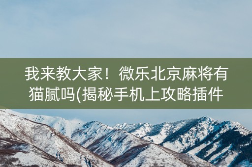 我来教大家！微乐北京麻将有猫腻吗(揭秘手机上攻略插件)