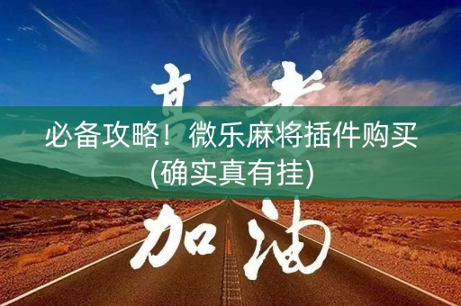 必备攻略！微乐麻将插件购买(确实真有挂)