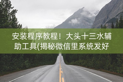 安装程序教程！大头十三水辅助工具(揭秘微信里系统发好牌)