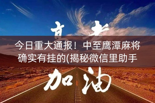 今日重大通报！中至鹰潭麻将确实有挂的(揭秘微信里助手软件)