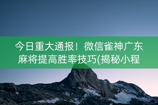 今日重大通报！微信雀神广东麻将提高胜率技巧(揭秘小程序助赢软件)