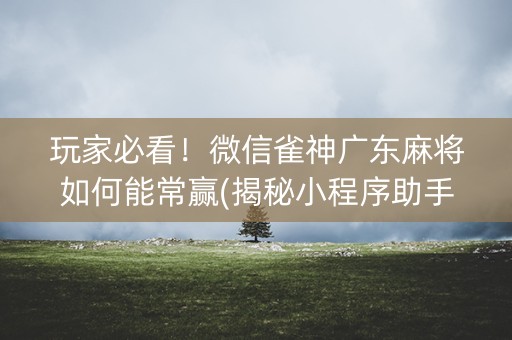 玩家必看！微信雀神广东麻将如何能常赢(揭秘小程序助手软件)