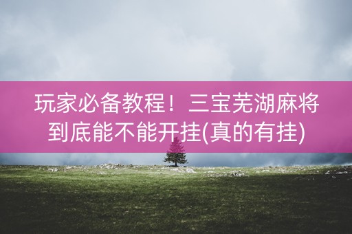 玩家必备教程！三宝芜湖麻将到底能不能开挂(真的有挂)