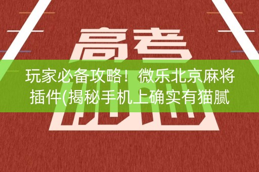 玩家必备攻略！微乐北京麻将插件(揭秘手机上确实有猫腻)