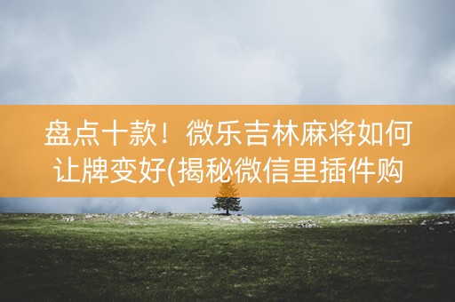 盘点十款！微乐吉林麻将如何让牌变好(揭秘微信里插件购买)