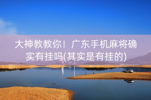 大神教教你！广东手机麻将确实有挂吗(其实是有挂的)