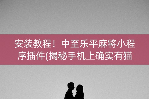 安装教程！中至乐平麻将小程序插件(揭秘手机上确实有猫腻)