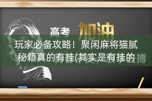 玩家必备攻略！聚闲麻将猫腻秘籍真的有挂(其实是有挂的)