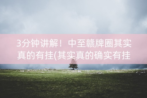 3分钟讲解！中至赣牌圈其实真的有挂(其实真的确实有挂)
