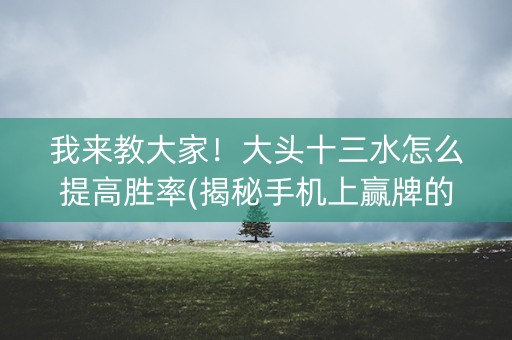 我来教大家！大头十三水怎么提高胜率(揭秘手机上赢牌的技巧)
