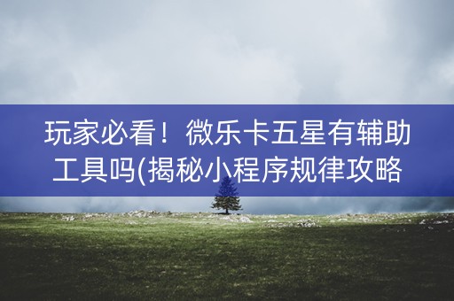 玩家必看！微乐卡五星有辅助工具吗(揭秘小程序规律攻略)