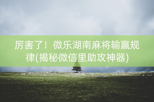 厉害了！微乐湖南麻将输赢规律(揭秘微信里助攻神器)