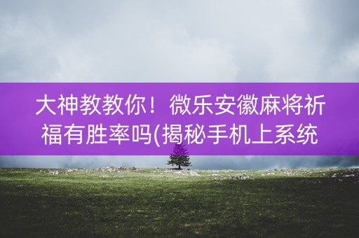 大神教教你！微乐安徽麻将祈福有胜率吗(揭秘手机上系统发好牌)
