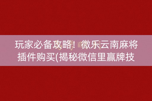 玩家必备攻略！微乐云南麻将插件购买(揭秘微信里赢牌技巧)