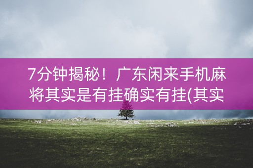 7分钟揭秘！广东闲来手机麻将其实是有挂确实有挂(其实是有挂的)