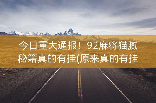 今日重大通报！92麻将猫腻秘籍真的有挂(原来真的有挂)