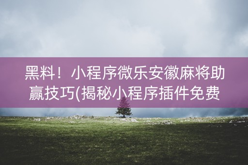黑料！小程序微乐安徽麻将助赢技巧(揭秘小程序插件免费)