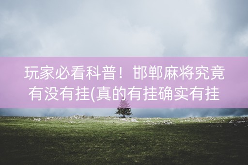 玩家必看科普！邯郸麻将究竟有没有挂(真的有挂确实有挂)