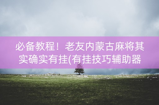 必备教程！老友内蒙古麻将其实确实有挂(有挂技巧辅助器)