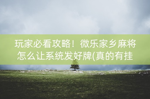 玩家必看攻略！微乐家乡麻将怎么让系统发好牌(真的有挂确实有挂)