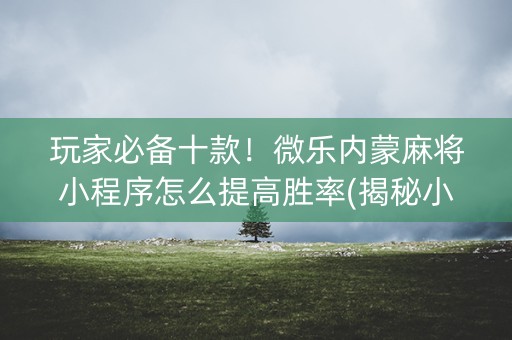 玩家必备十款！微乐内蒙麻将小程序怎么提高胜率(揭秘小程序助手软件)