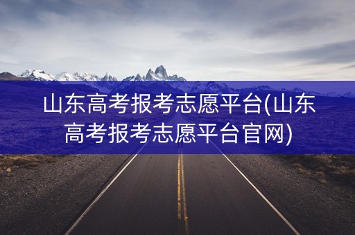 山东高考报考志愿平台(山东高考报考志愿平台官网) 山东高考报考志愿平台(山东高考报考志愿平台官网)