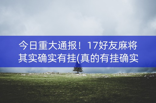今日重大通报！17好友麻将其实确实有挂(真的有挂确实有挂)