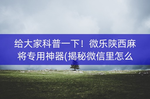 给大家科普一下！微乐陕西麻将专用神器(揭秘微信里怎么容易赢)