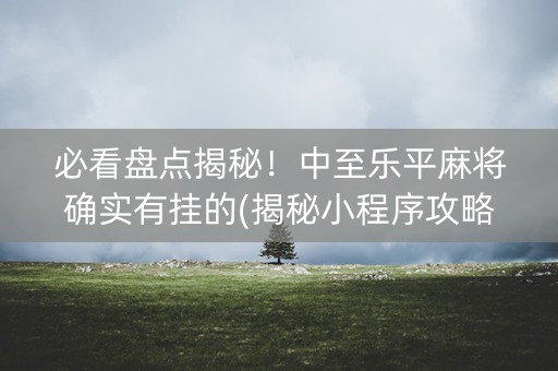 必看盘点揭秘！中至乐平麻将确实有挂的(揭秘小程序攻略插件)