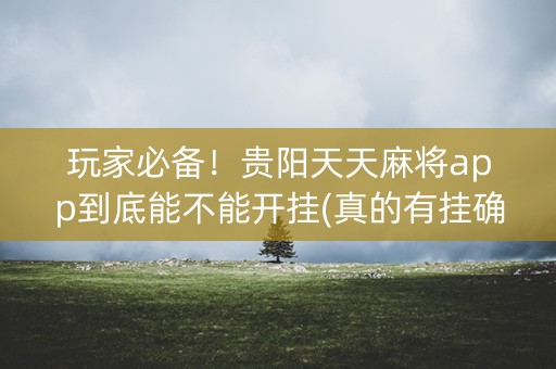 玩家必备！贵阳天天麻将app到底能不能开挂(真的有挂确实有挂)