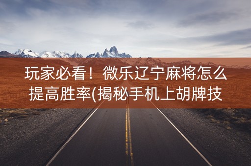 玩家必看！微乐辽宁麻将怎么提高胜率(揭秘手机上胡牌技巧)
