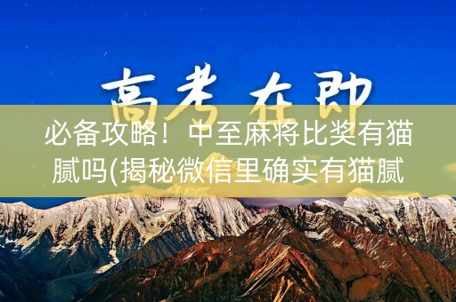 必备攻略！中至麻将比奖有猫腻吗(揭秘微信里确实有猫腻)