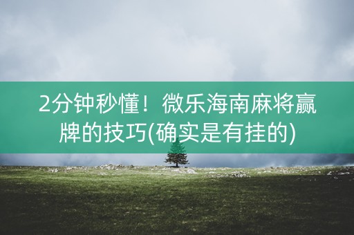 2分钟秒懂！微乐海南麻将赢牌的技巧(确实是有挂的)