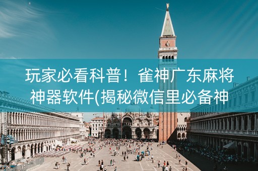 玩家必看科普！雀神广东麻将神器软件(揭秘微信里必备神器)