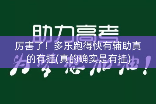 厉害了！多乐跑得快有辅助真的有挂(真的确实是有挂)