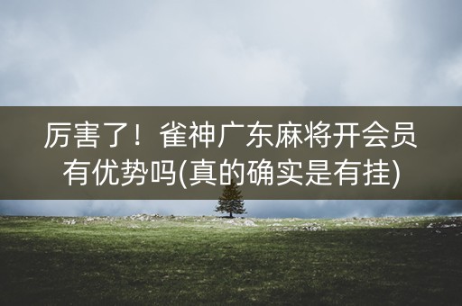 厉害了！雀神广东麻将开会员有优势吗(真的确实是有挂)