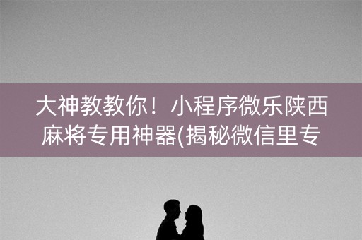 大神教教你！小程序微乐陕西麻将专用神器(揭秘微信里专用神器下载)