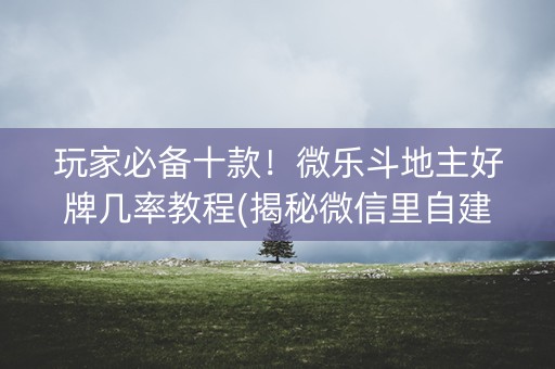 玩家必备十款！微乐斗地主好牌几率教程(揭秘微信里自建房怎么赢)