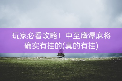 玩家必看攻略！中至鹰潭麻将确实有挂的(真的有挂)