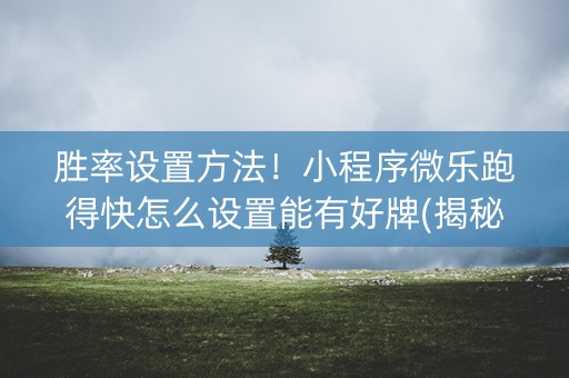 胜率设置方法！小程序微乐跑得快怎么设置能有好牌(揭秘微信里助赢神器购买)