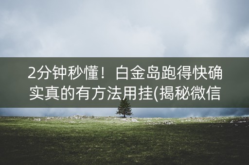2分钟秒懂！白金岛跑得快确实真的有方法用挂(揭秘微信里提高胜率)