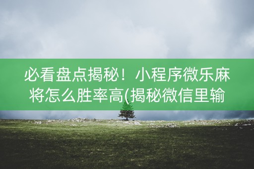 必看盘点揭秘！小程序微乐麻将怎么胜率高(揭秘微信里输赢规律)
